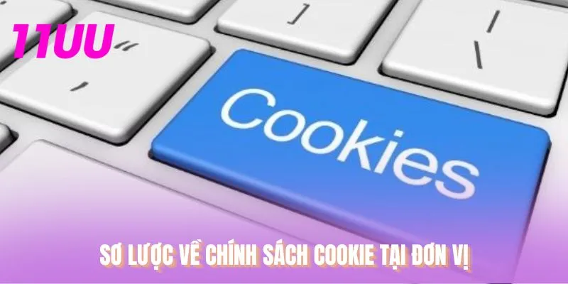 Sơ lược về chính sách cookie tại đơn vị